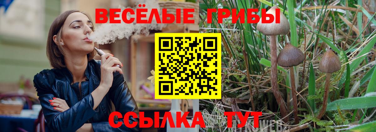 Калач-на-Дону  Галлюциногенные грибы ЛСД  как найти закладки  Галлюциногенные грибы Psilocybe  Вход с VPN 